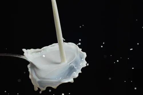 脱脂奶VS全脂奶，怎样选更健康？